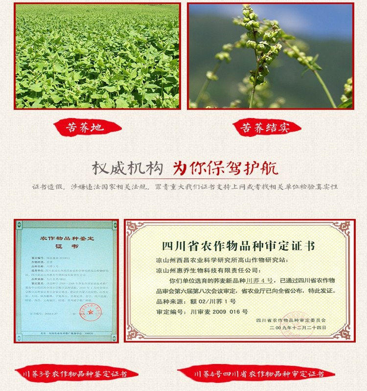 汇荞黑苦荞全胚芽茶270g，养生佳品