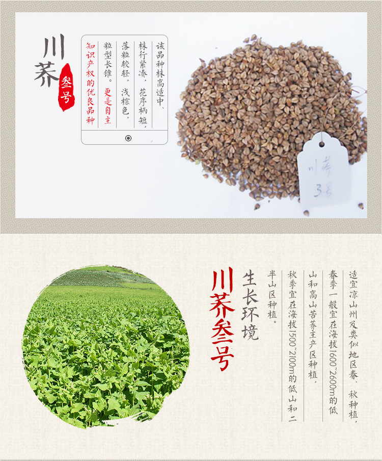 汇荞黑苦荞全胚芽茶270g，养生佳品