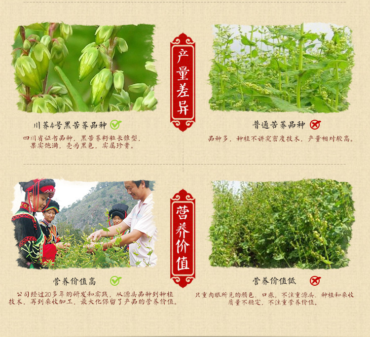 汇荞黑苦荞全胚芽茶270g，养生佳品