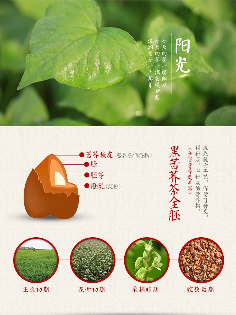 汇荞黑苦荞全胚芽茶270g，养生佳品