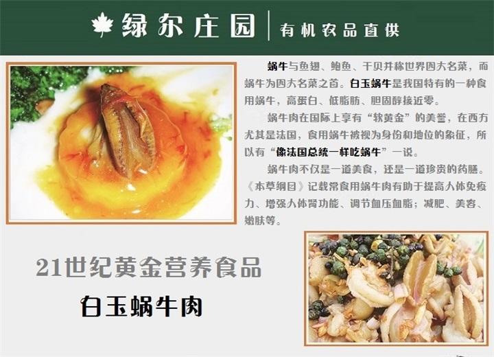 【邮乐洛阳】绿尔科技 蜗牛肉串 高蛋白 230g