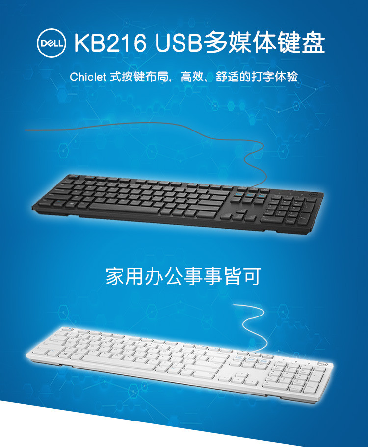 （DELL） KB216 多媒体 办公 有线键盘（黑色）