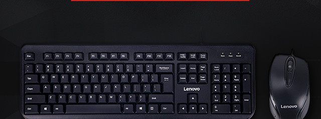 （Lenovo）FBL322 家用商用 有线键盘鼠标套装 黑色