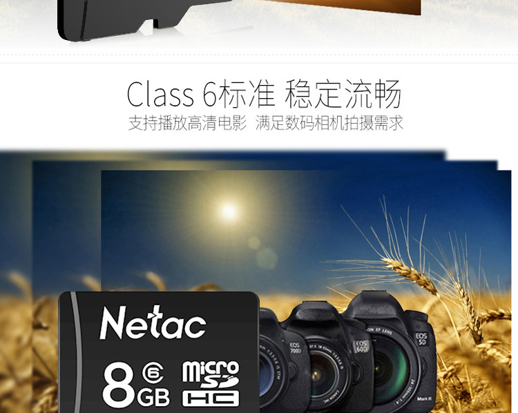 朗科（Netac）8G Class6手机内存卡TF(micro-SD)卡音响高速存储卡