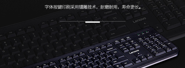 （Lenovo）FBL322 家用商用 有线键盘鼠标套装 黑色