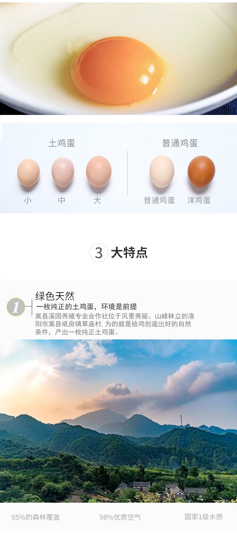【洛阳消费扶贫】嵩县土鸡蛋豫溪园农家散养土鸡蛋高营养农家笨鸡蛋40枚 包邮