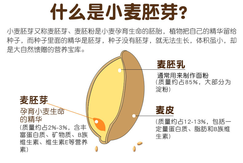 【河南邮政】中原雪优质小麦胚芽（400克*2桶）礼盒装