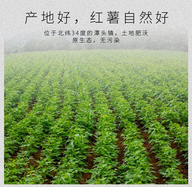 【洛阳消费扶贫】栾川印象红薯粉条礼盒2.5千克/箱 包邮