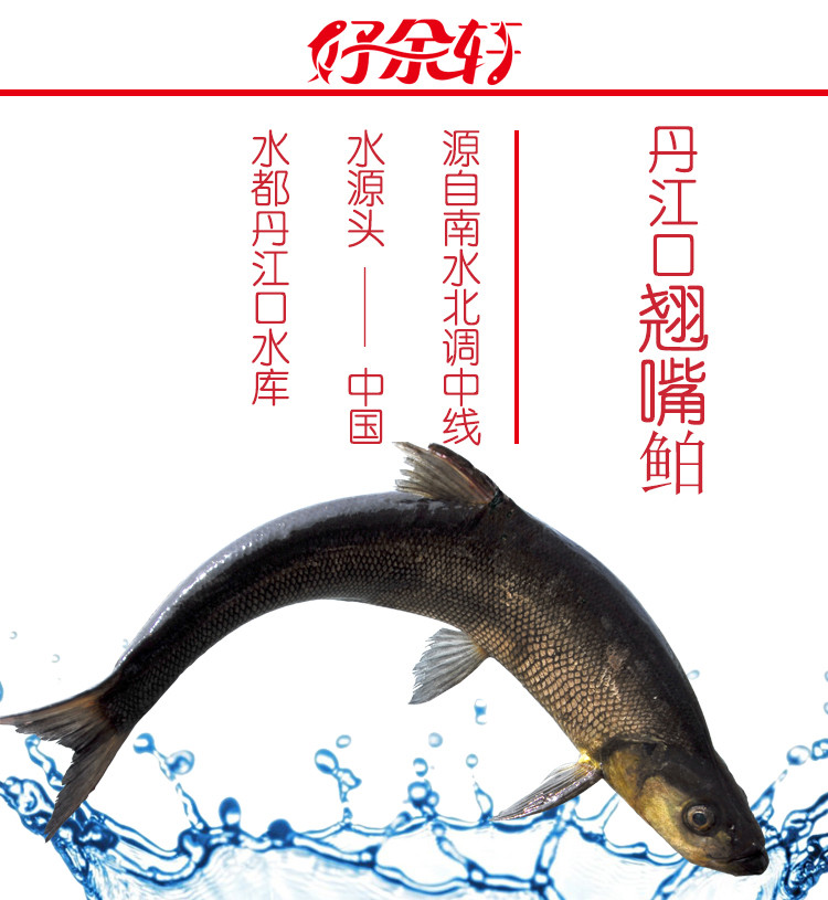 【十堰·丹江口馆】丹江口翘嘴鲌10斤国家地理标志产品 新鲜活鱼速冻