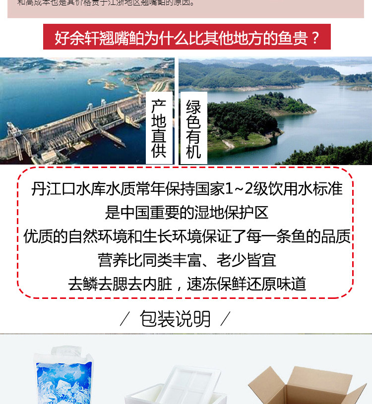 【十堰·丹江口馆】丹江口翘嘴鲌10斤国家地理标志产品 新鲜活鱼速冻