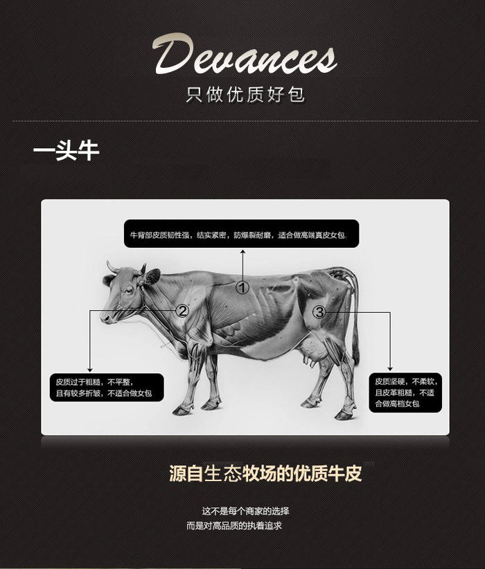 Devances 头层牛皮女士单肩包DV-15518（可斜跨，4色可选）