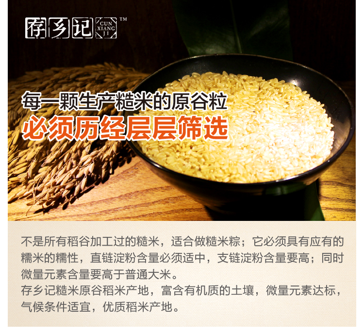 存乡记端午粽子礼盒发明专利糙米肉粽100g*5只鲜肉粽