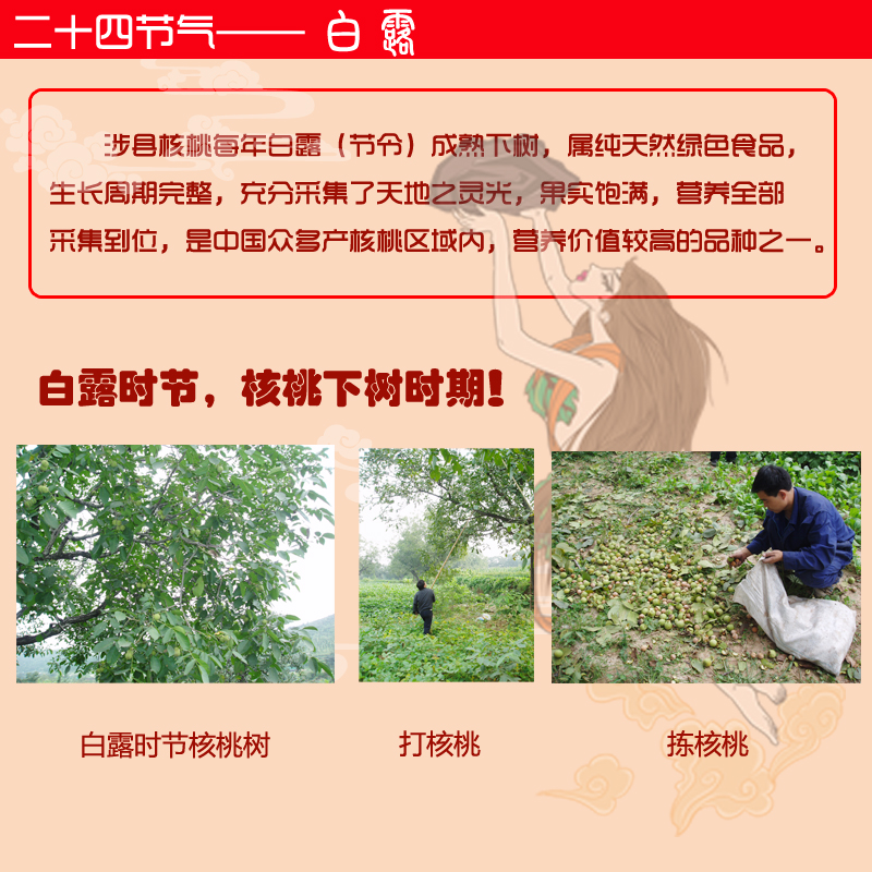 【女娲核桃油】坚果植物油营养健康食用油