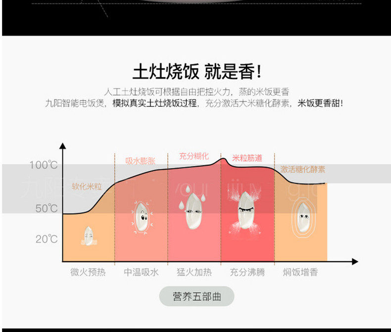 Joyoung/九阳 3L铜釜内胆煮饭预约触摸式电饭煲锅 F-30FY1