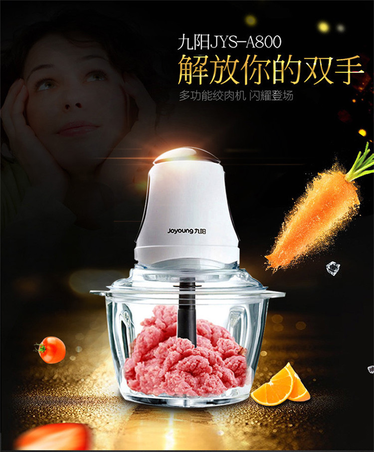 Joyoung/九阳 绞肉机料理机多功能家用电动搅拌小型辅食JYS-A800