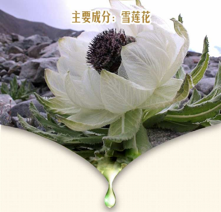 邮乐萍乡馆 索芙特水凝肌60g水凝透薄BB霜