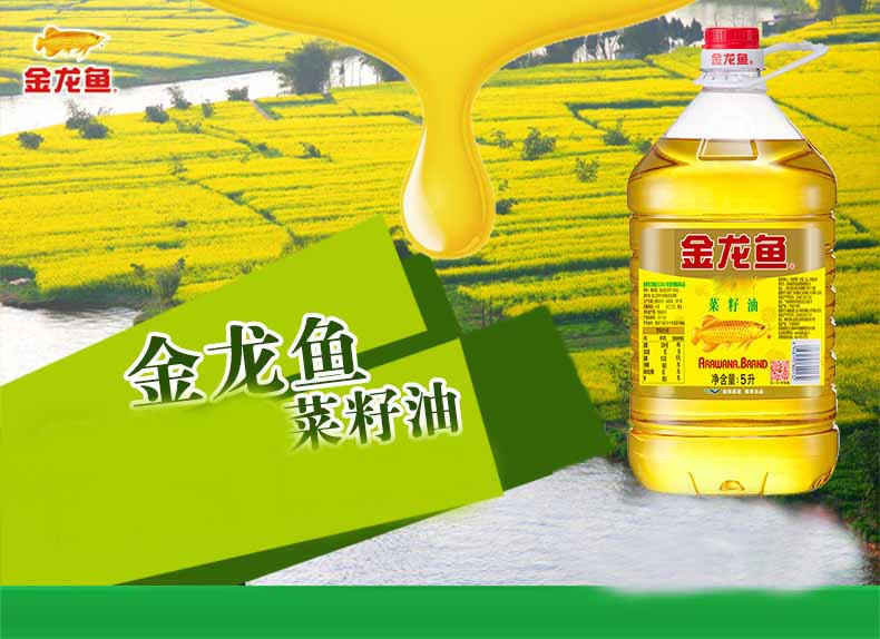 菜籽油5L/桶 食用油 菜油纯香