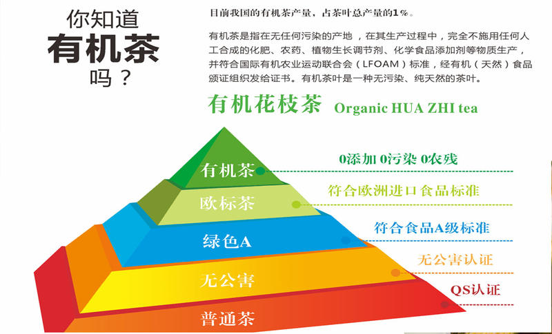 恩施玉露 花枝绿茶（清香）条盒  400克