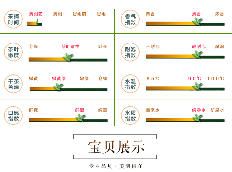 【邮政扶贫】问玄2022年新茶绿茶鑫丰·初心条形288g