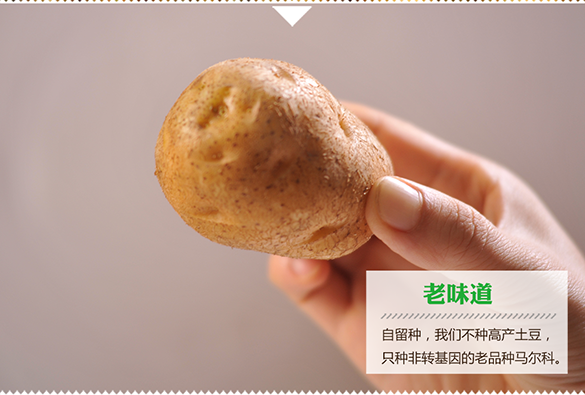 恩施富硒高山老品种马尔科黄心小土豆2.5kg（大果）