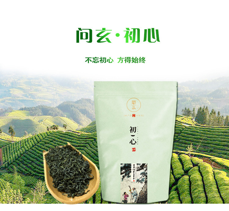 问玄 问玄 2023年新茶问玄初心袋装绿茶恩施茶叶伍家台贡茶250g