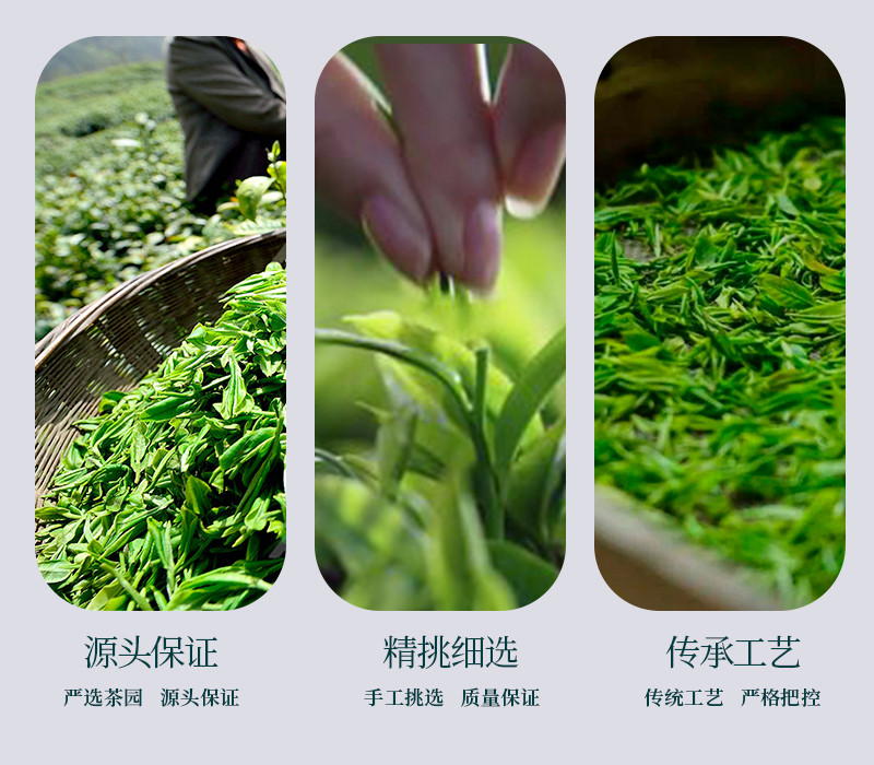 问玄 问玄 初心条盒2023年新茶伍家台贡茶 160g/条*2 送手提袋