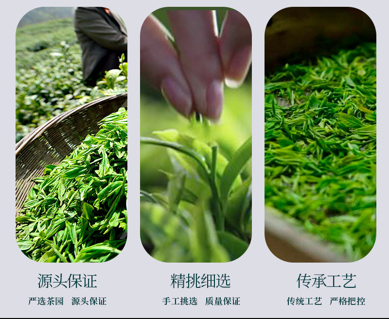 问玄 问玄 优选湖北茶叶礼盒装施玉露问玄一红茶一绿茶组合200g 新茶