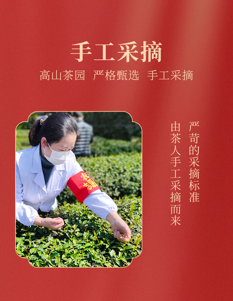 十株茶 建始马坡十株红茶