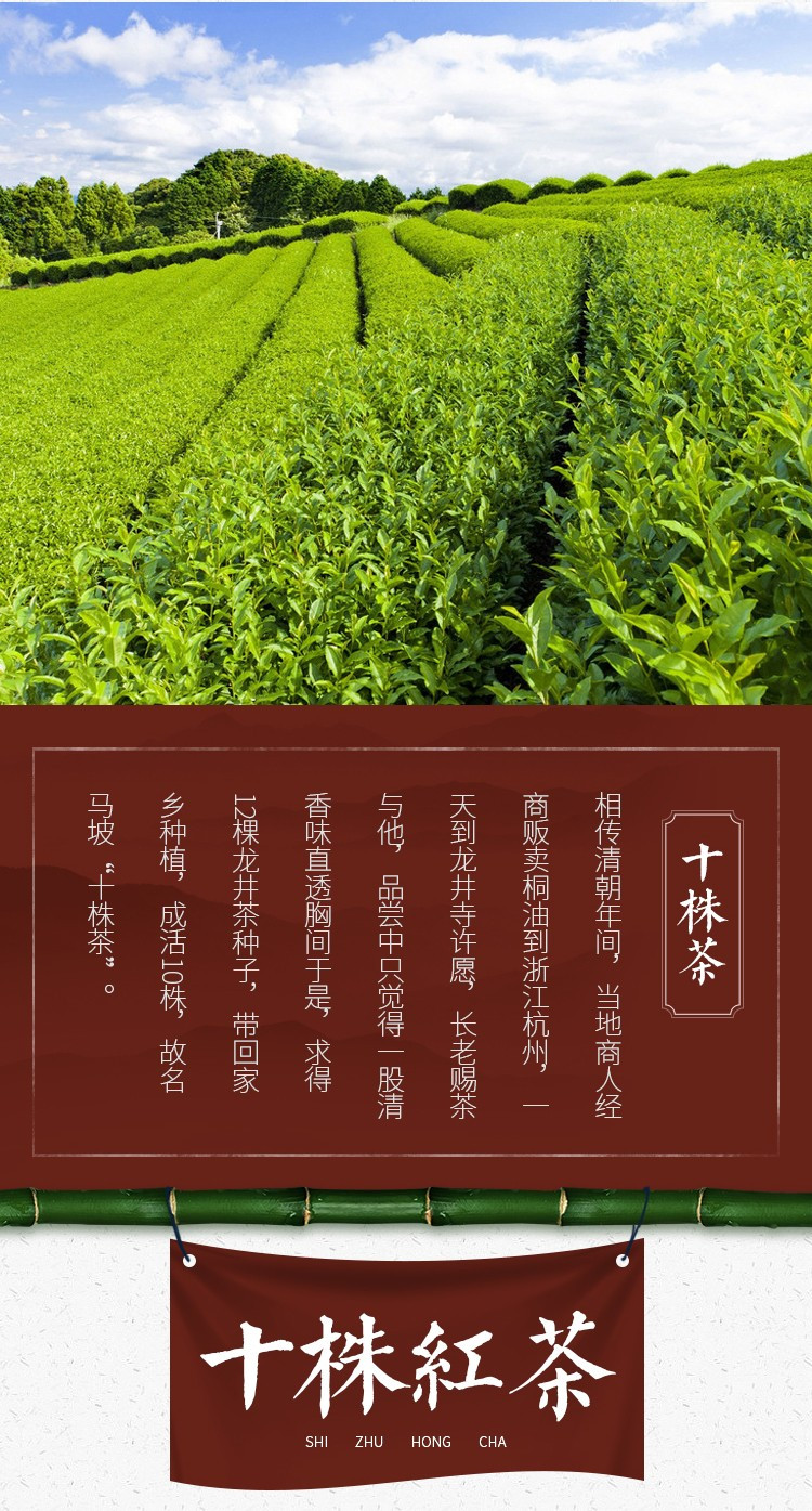 十株茶 柚花香红茶