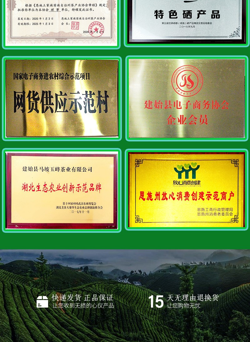 十株茶 2024年新茶建始马坡毛尖绿茶