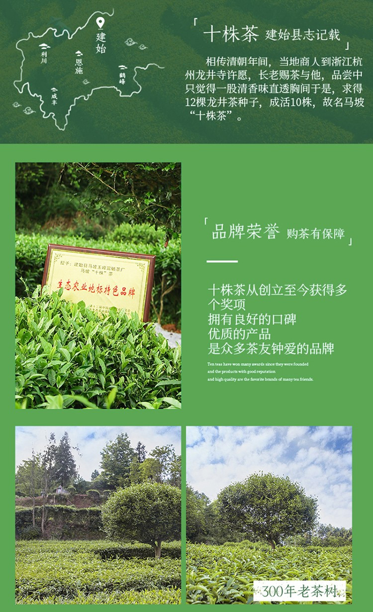 十株茶 地标产品建始马坡茶毛尖绿茶（赠红茶体验装）