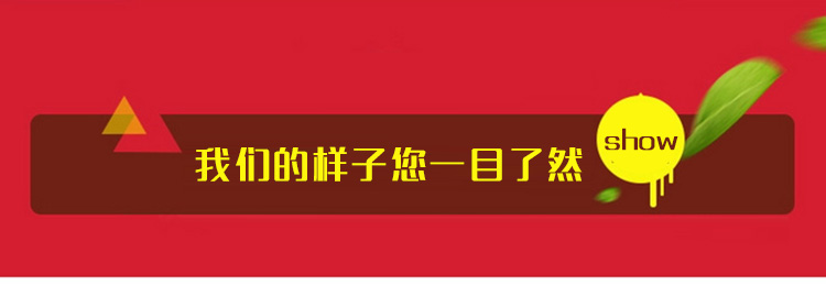 洁特好 中国梦旋转拖把 双驱动 好神拖旋转拖把桶 配2个可替换拖把头 墩布 甩干拖把 清洁工具