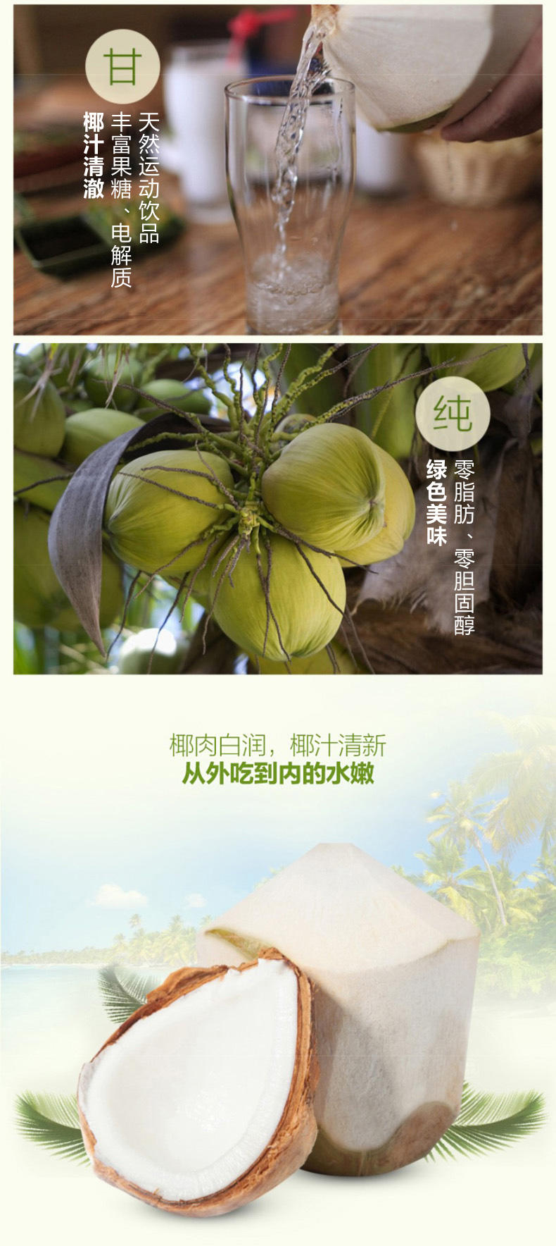 【泰国原产地进口】 预售 椰青一件（9个装）进口新鲜椰子甘甜