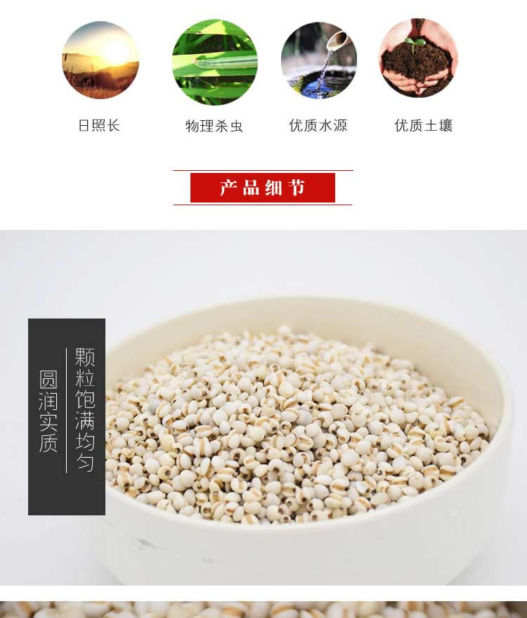 邮政 【贵州晴隆·糯薏仁米】500g/件 省内包邮