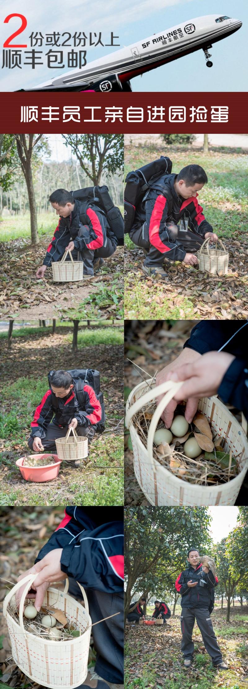 宜昌三峡特产·野鸡蛋客户品尝试4枚装9.9元全国包邮