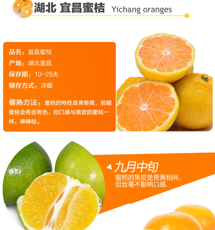 宜昌三峡特产] 蜜橘1斤装付邮费试吃每天只供应200斤