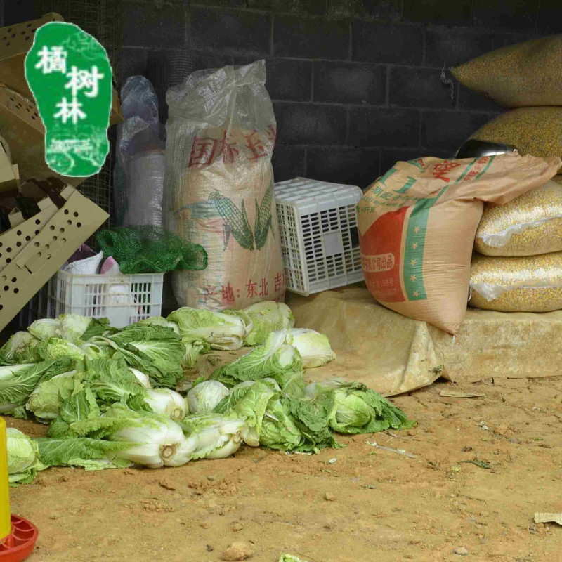 宜昌三峡特产] 橘树林新品上市 土鸡蛋一斤装10枚包邮