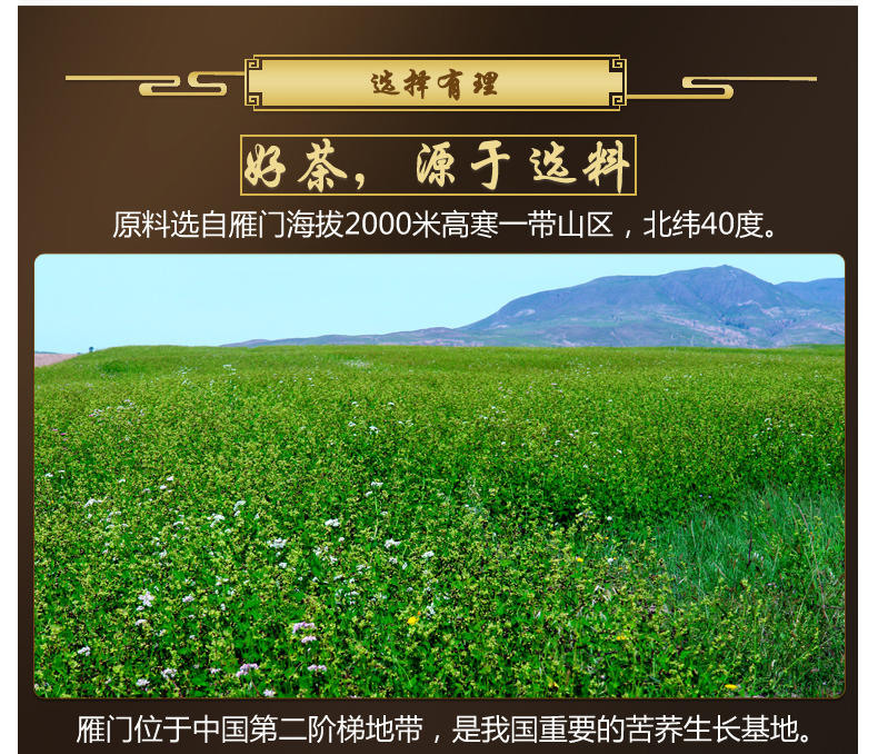 雁门清高有机黑苦荞茶 全胚芽黑苦荞茶280g