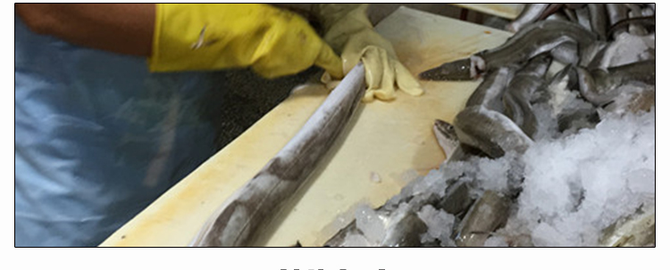 无骨野生海鳗鱼切片新鲜精包装 海鲜鱼类水产