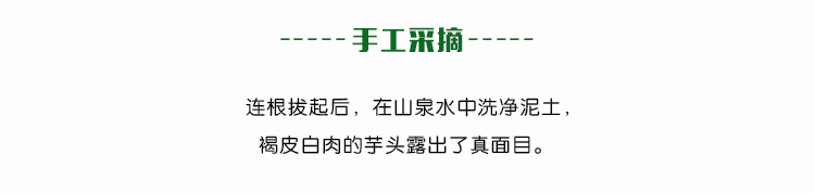 儋州新鲜香芋芋头 农家自产4斤 礼盒装 天然绿色食品 全国包邮