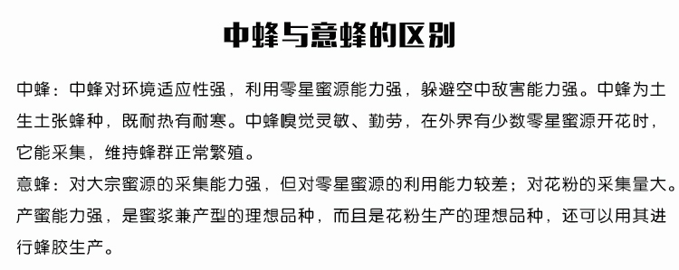 海南白沙鹦哥岭 农家自产 野生土蜂蜜 500g