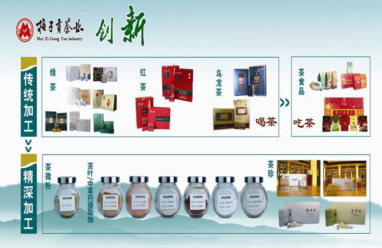 湖北十堰竹溪梅子贡茶系列乌龙茶方铁盒装480g