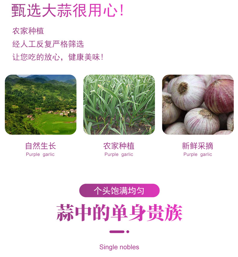 农家自产 【会员享实惠】四川富顺2.8cm紫皮独蒜2斤