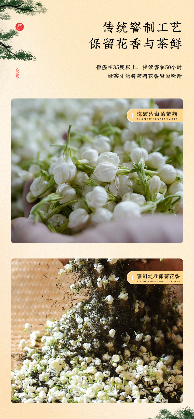 龙都博宝 【会员享实惠】香茗特级100g 茉莉花茶畅销产品