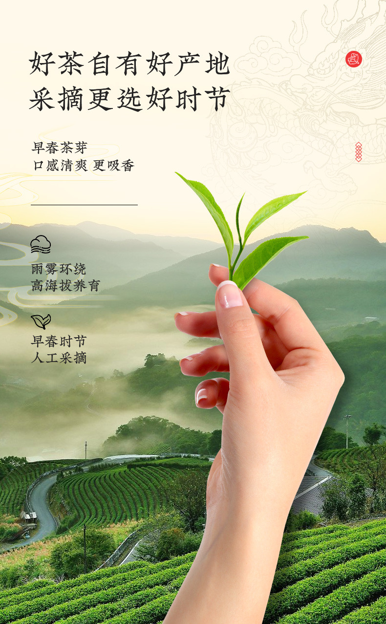 龙都博宝 【会员享实惠】香茗特级100g 茉莉花茶畅销产品