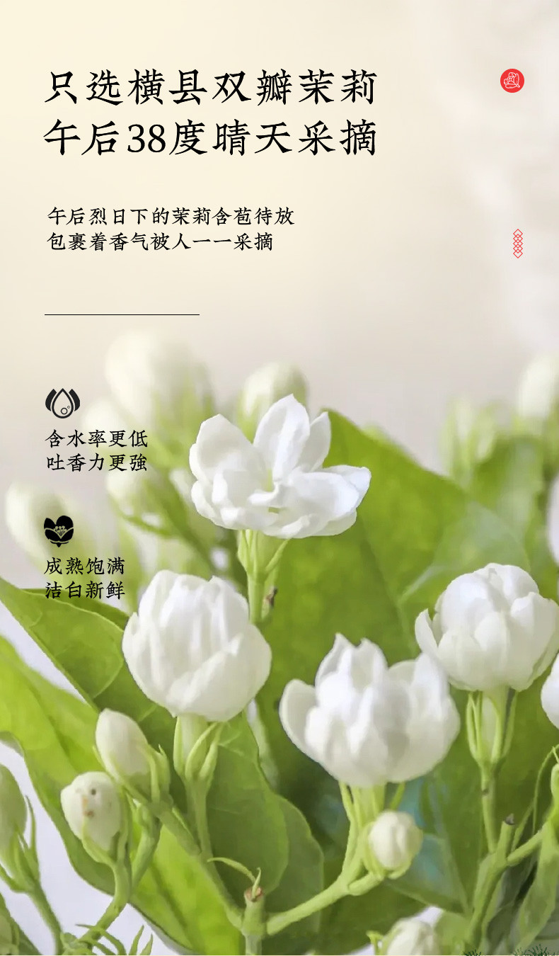 龙都博宝 【会员享实惠】香茗特级100g 茉莉花茶畅销产品