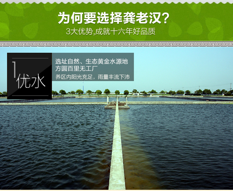 龚老汉生态甲鱼 五年以上鳖2斤1000g 活体水鱼 金泰元款纸黄