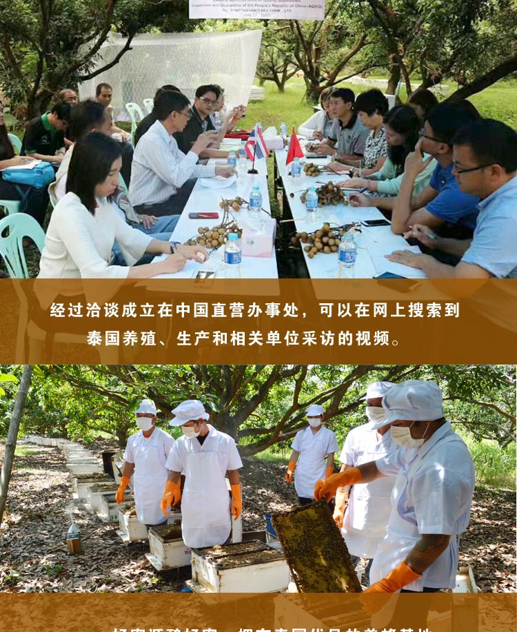 阔普坤咔 纯蜂蜜 旅行便携小包装150克2支装 泰国原装进口野生天然龙眼花桂圆蜜
