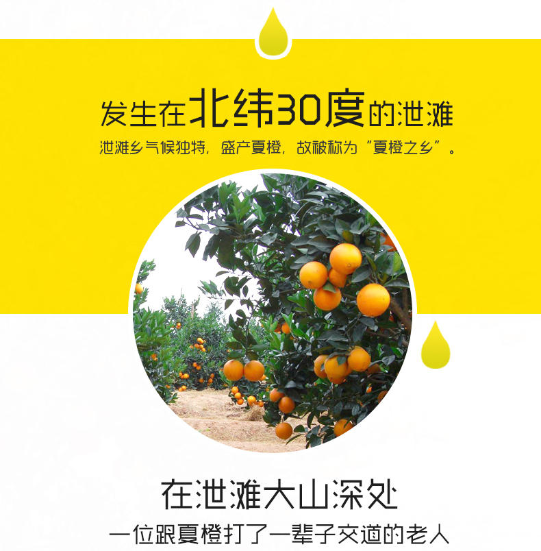 【三峡特产】秭归夏橙脐橙新鲜水果橙子 净重9斤装包邮