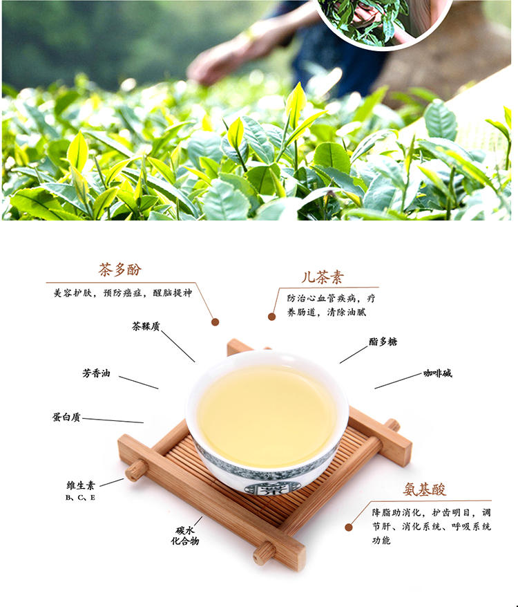 萧氏邓村绿茶150g 5923